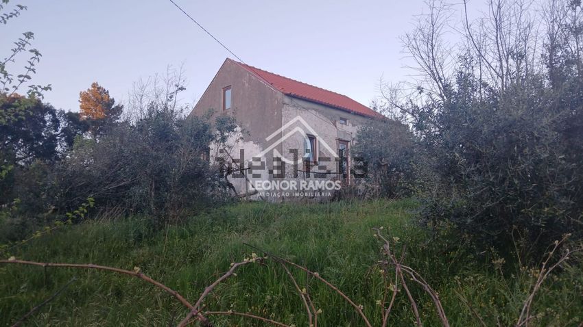 Moradia T2 à venda em Proença-a-Nova e Peral, Proença-a-Nova — foto 3