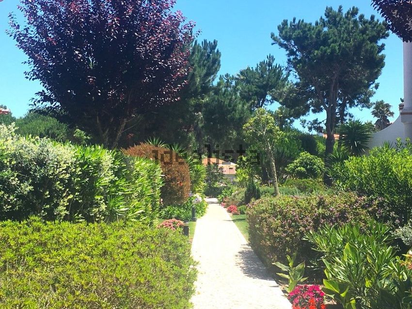 Moradia T3 à venda em Amoreira, Óbidos — foto 34