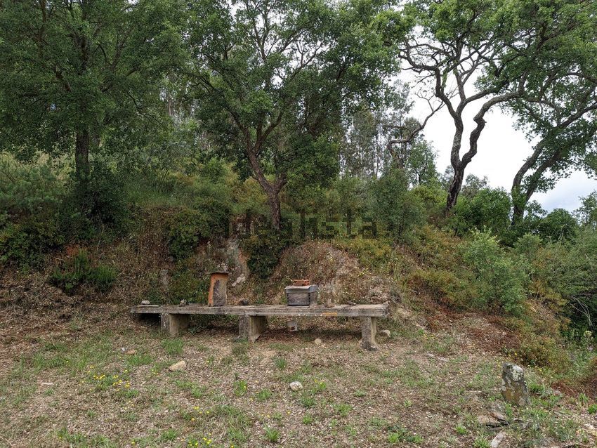 Moradia T0 à venda em Aldeia do Mato e Souto, Abrantes — foto 22