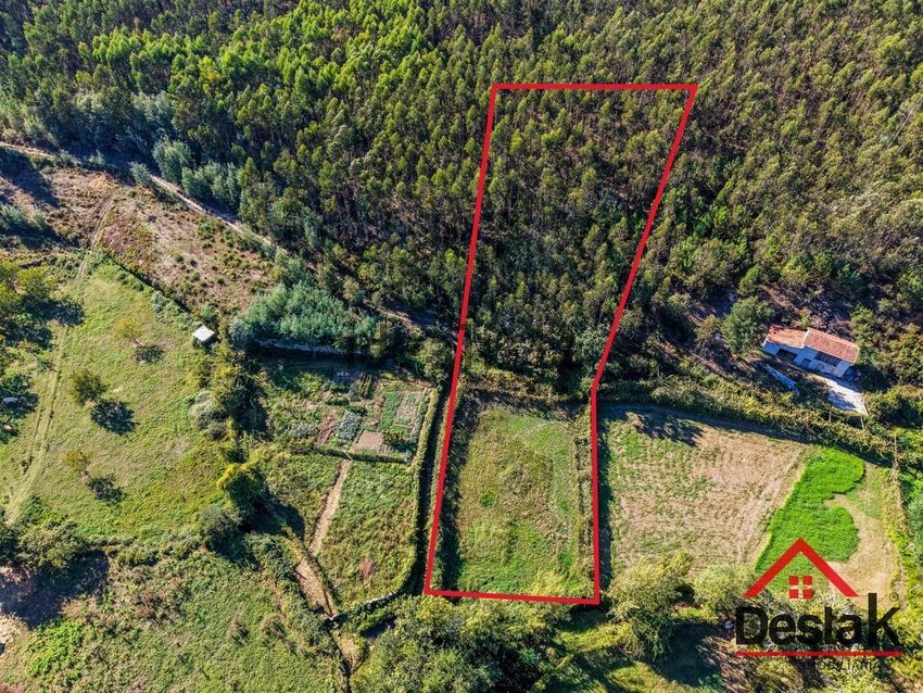 Moradia T3 à venda em Serrazes, São Pedro do Sul — foto 4