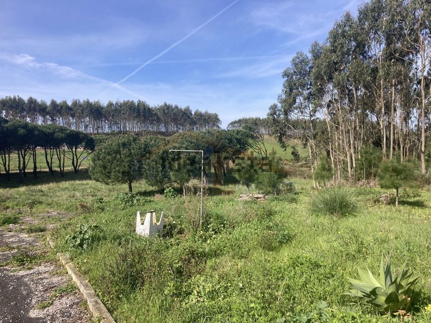 Moradia T2 à venda em Caldas da Rainha - Santo Onofre e Serra do Bouro, Caldas da Rainha — foto 38