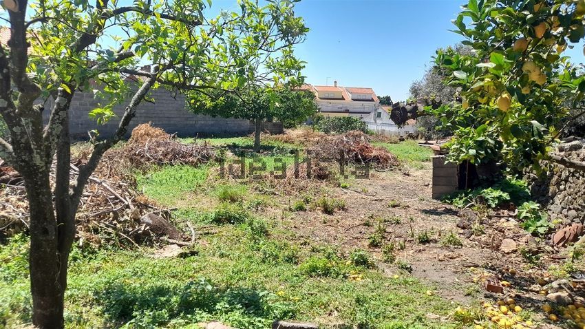 Moradia T4 à venda em Medelim, Idanha-a-Nova — foto 10