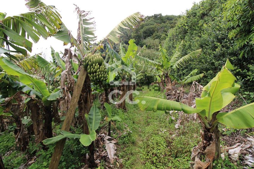 Moradia T3 à venda em Ribeira Seca, Vila Franca do Campo — foto 7
