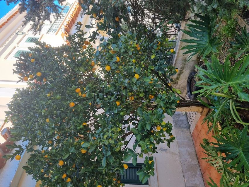 Moradia T4 à venda em Fazendas de Almeirim, Almeirim — foto 8