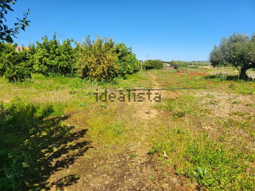Moradia T2 à venda em Selmes, Vidigueira — foto 27