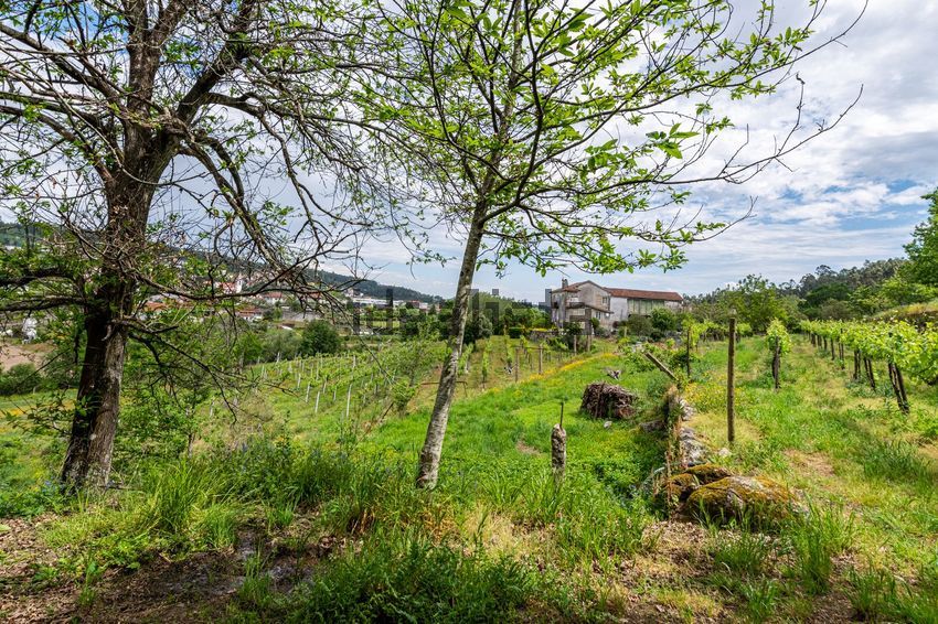 Moradia T6+ à venda em Ruilhe, Braga — foto 26