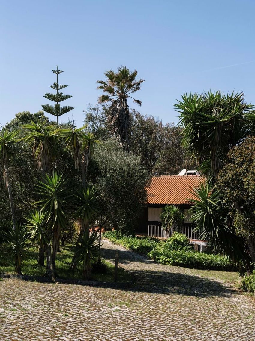 Moradia T2 à venda em Colares, Sintra — foto 2