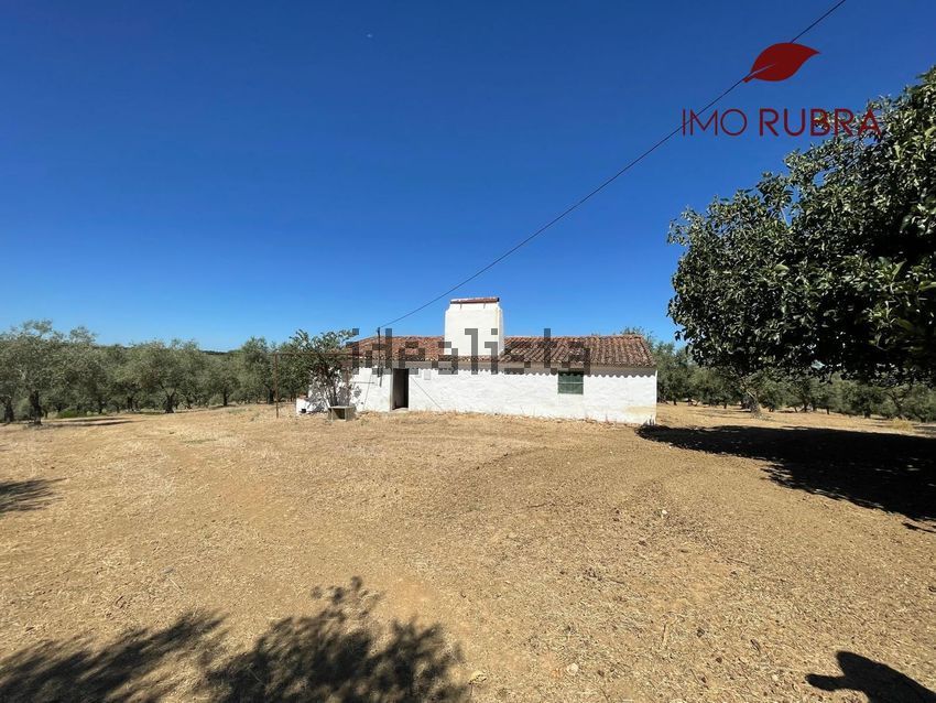 Moradia T5 à venda em Casa Branca, Sousel — foto 36