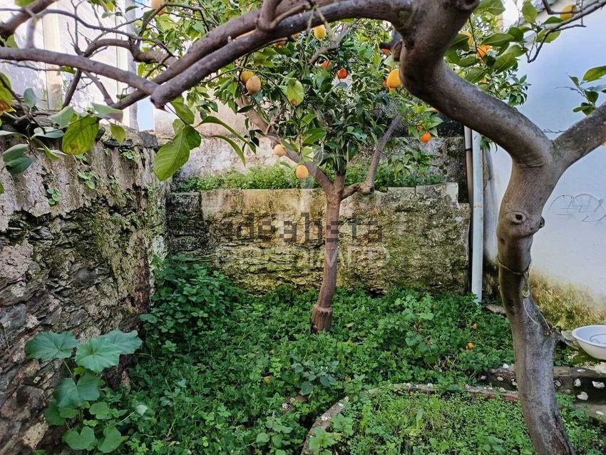 Moradia T3 à venda em Ciladas, Vila Viçosa — foto 29