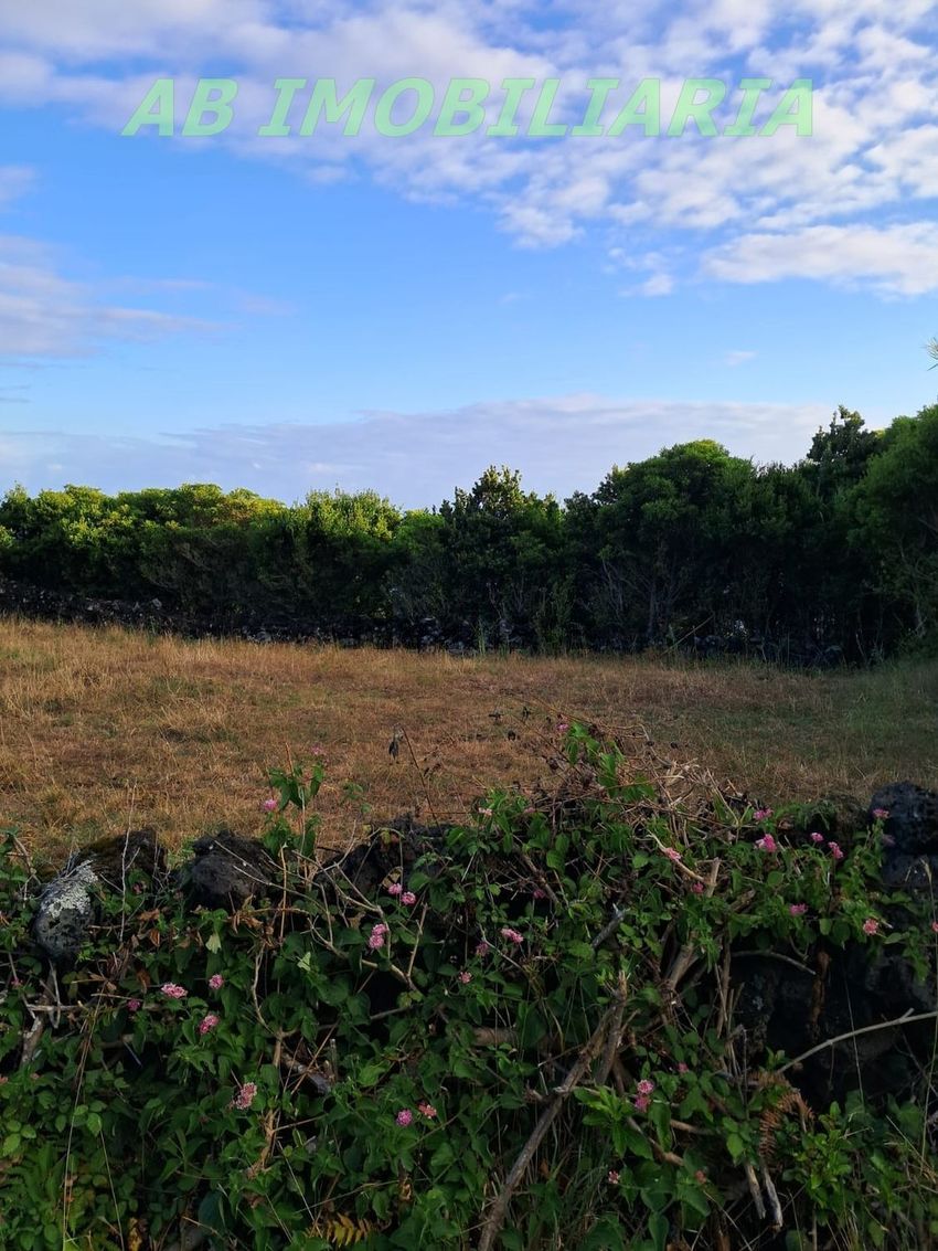 Moradia T0 à venda em Santo António, São Roque do Pico — foto 20