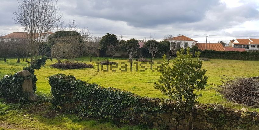Moradia T6+ à venda em Colmeal e Vilar Torpim, Figueira de Castelo Rodrigo — foto 17