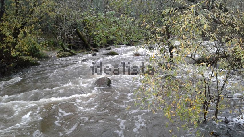 Moradia T5 à venda em Alcains, Castelo Branco — foto 37