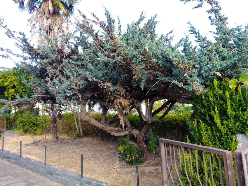 Moradia T5 à venda em Parada de Cunhos, Vila Real — foto 23