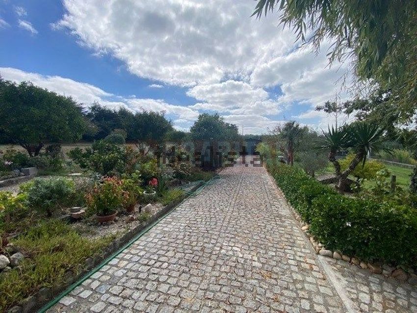 Moradia T3 à venda em Tentúgal, Montemor-o-Velho — foto 10
