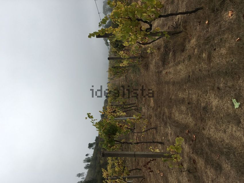Moradia T3 à venda em Nespereira, Cinfães — foto 10