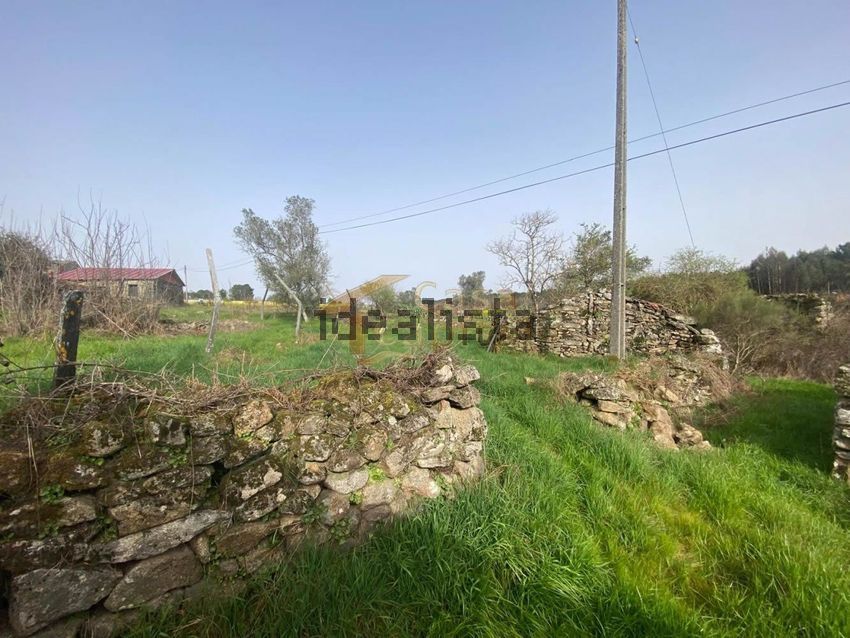 Moradia T3 à venda em Parada de Cunhos, Vila Real — foto 6