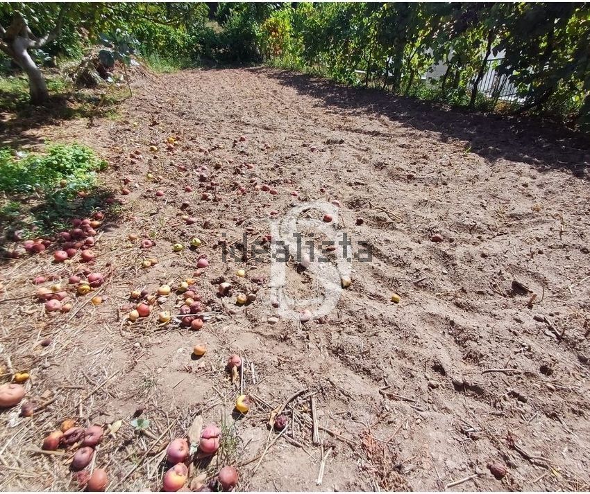 Moradia T3 à venda em Ribeira de Pena (Salvador) e Santo Aleixo de Além-Tâmega, Ribeira de Pena — foto 29