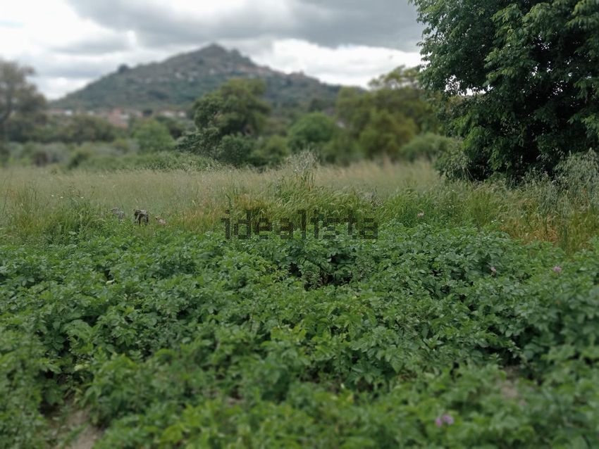 Moradia T2 à venda em Monsanto e Idanha-a-Velha, Idanha-a-Nova — foto 2