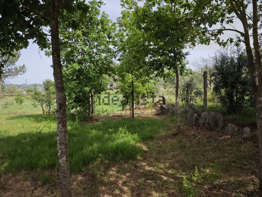Moradia T2 à venda em Cunha Baixa, Mangualde — foto 18