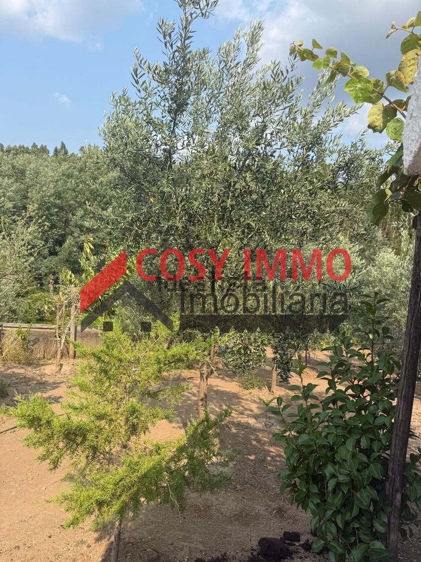 Moradia T2 à venda em Alvares, Góis — foto 17