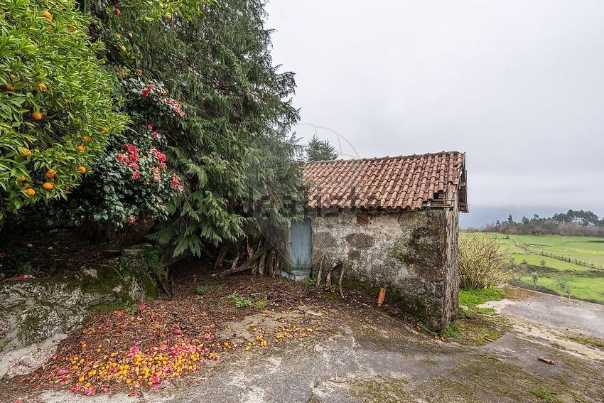 Moradia T3 à venda em Valdosende, Terras de Bouro — foto 23