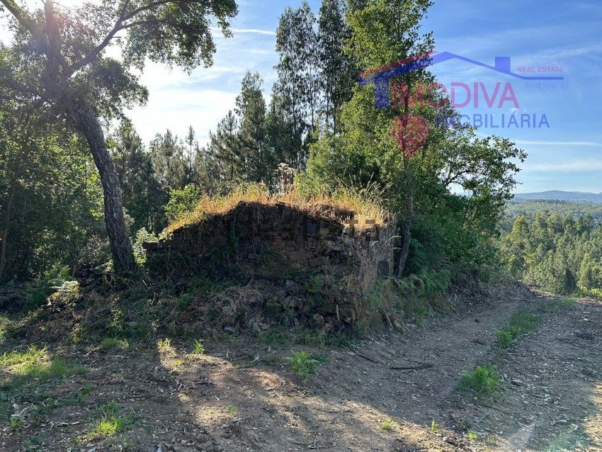 Moradia T2 à venda em Pedrógão Pequeno, Sertã — foto 33