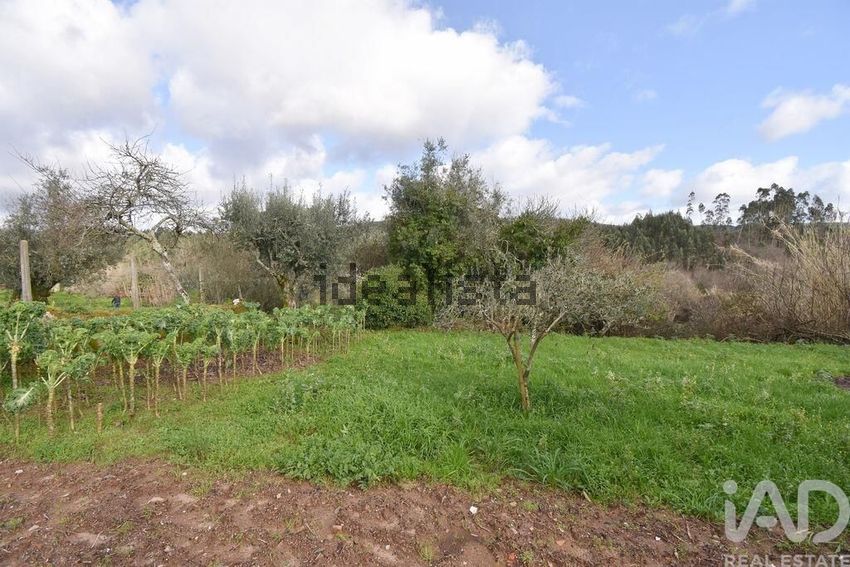 Moradia T3 à venda em Cumeeira, Penela — foto 25