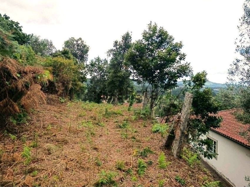 Moradia T3 à venda em Fontoura, Valença — foto 18