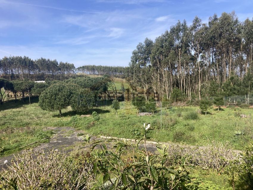 Moradia T2 à venda em Caldas da Rainha - Santo Onofre e Serra do Bouro, Caldas da Rainha — foto 15