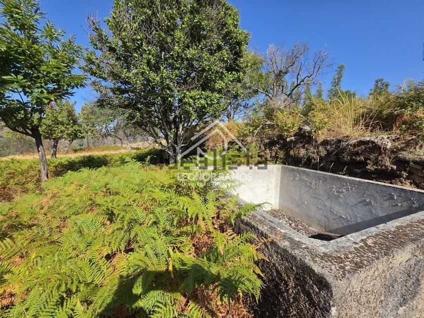 Moradia T1 à venda em São Vicente da Beira, Castelo Branco — foto 17