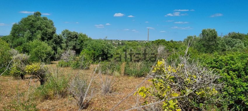 Moradia T1 à venda em Moncarapacho, Olhão — foto 11