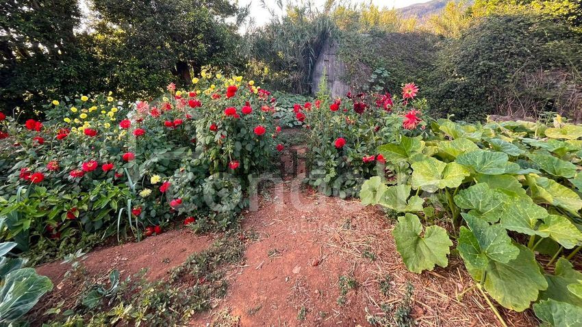 Moradia T2 à venda em Prazeres, Calheta — foto 13