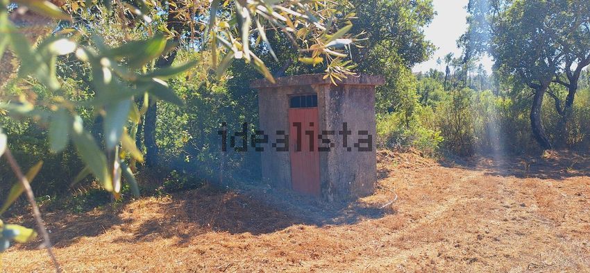 Moradia T2 à venda em São João do Peso, Vila de Rei — foto 14
