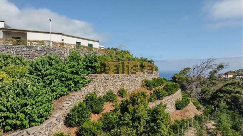 Moradia T5 à venda em Faial, Santana — foto 37
