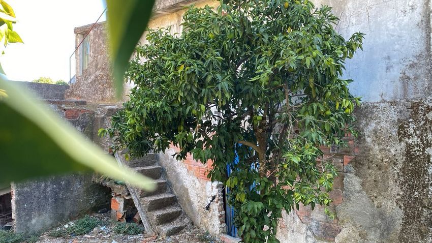 Moradia T3 à venda em Tolosa, Nisa — foto 27