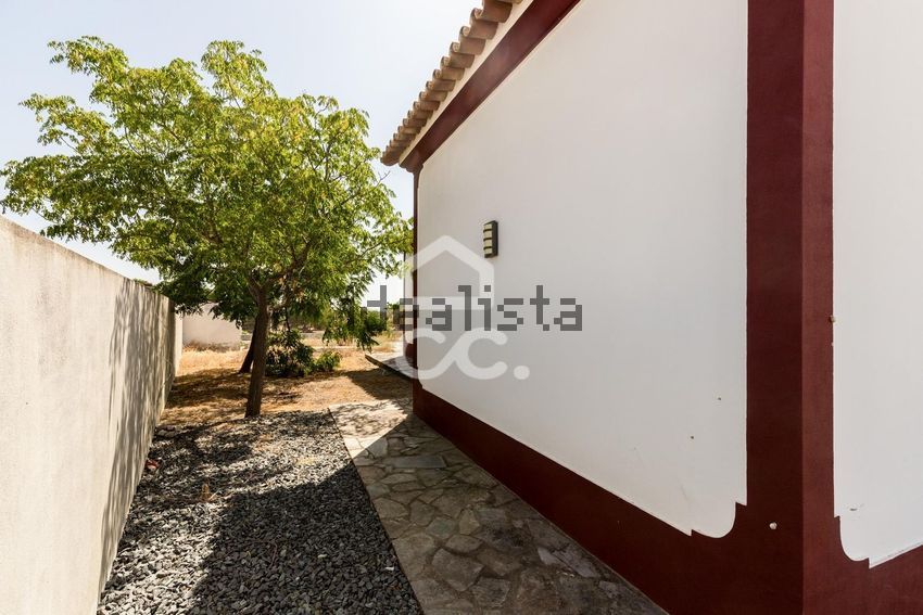 Moradia T4 à venda em Campo e Campinho, Reguengos de Monsaraz — foto 30