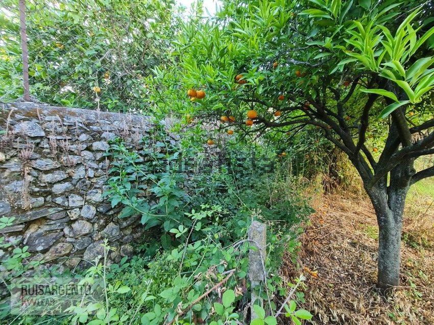 Moradia T6+ à venda em Monfortinho e Salvaterra do Extremo, Idanha-a-Nova — foto 20