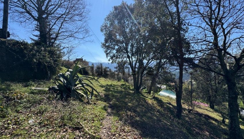Moradia T1 à venda em Santa Cruz do douro e São Tomé de Covelas, Baião — foto 23