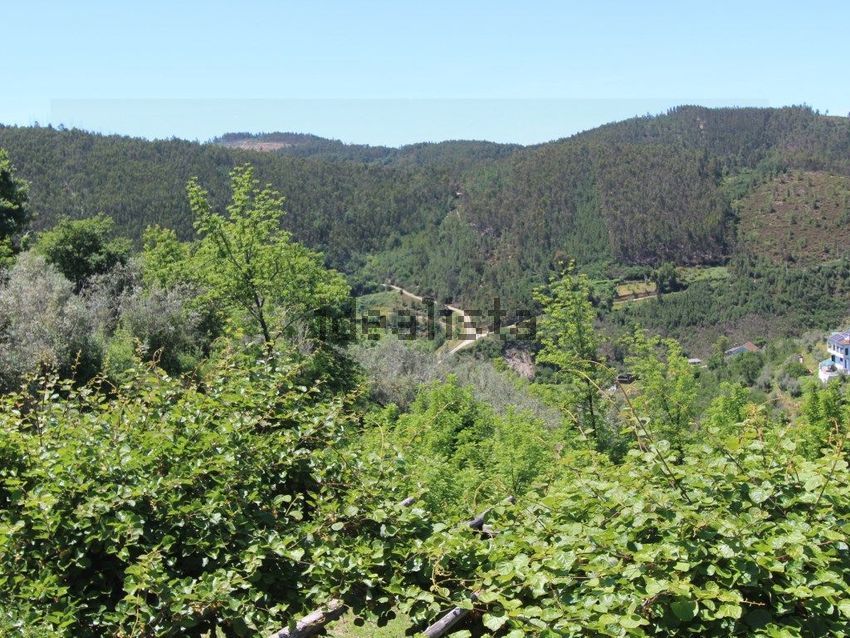 Moradia T3 à venda em Benfeita, Arganil — foto 33