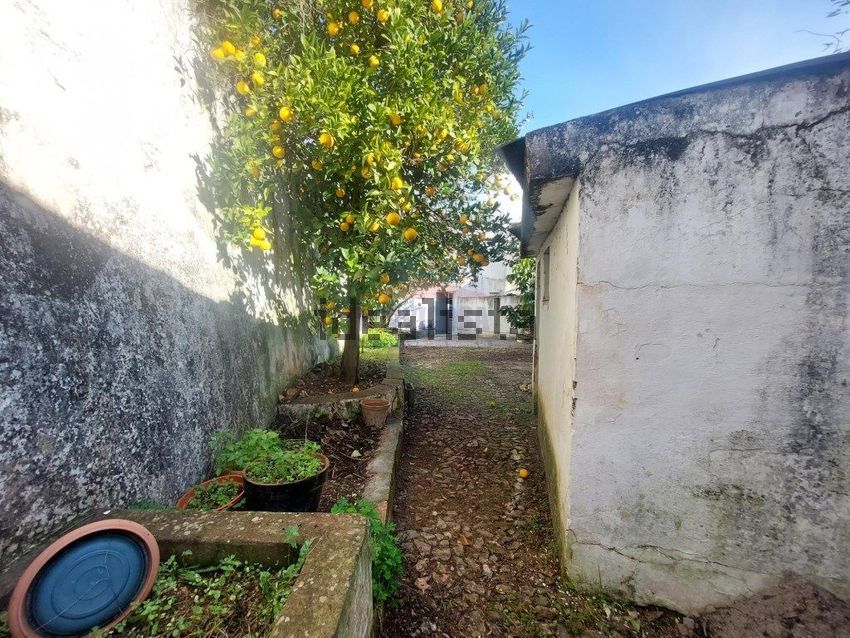 Moradia T3 à venda em Borba (Matriz), Borba — foto 10