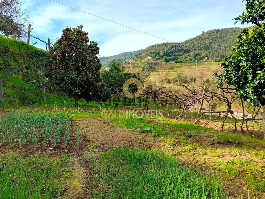 Moradia T2 à venda em Santa Maria de Sardoura, Castelo de Paiva — foto 11