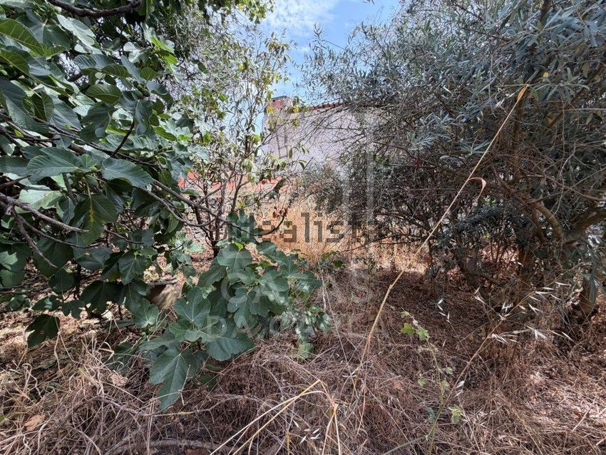 Moradia T4 à venda em Beringel, Beja — foto 23