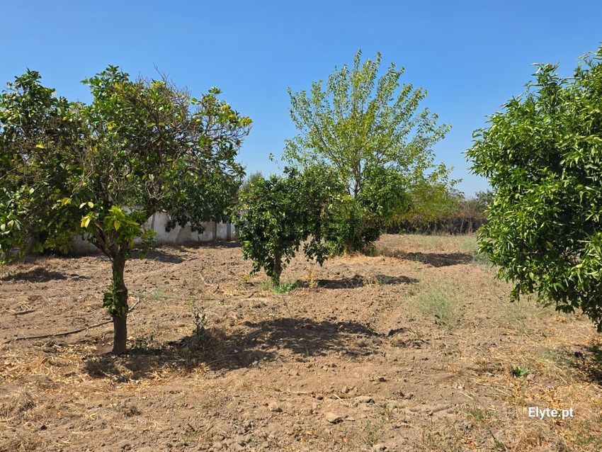 Moradia T3 à venda em Couço, Coruche — foto 40