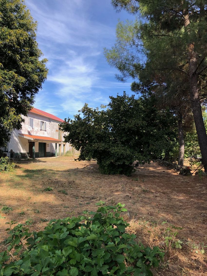 Moradia T6+ à venda em Fóios, Sabugal — foto 22