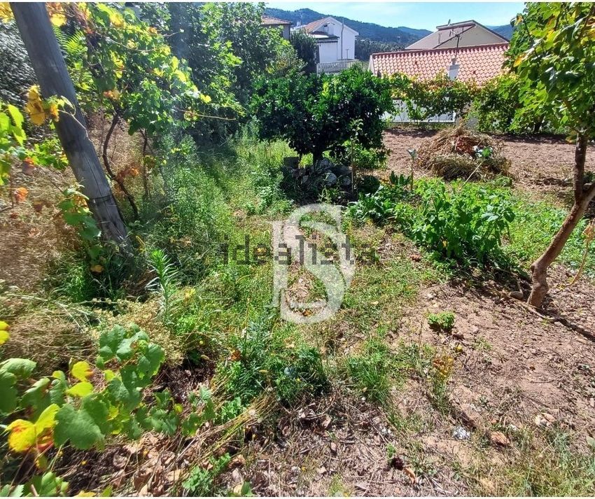 Moradia T3 à venda em Ribeira de Pena (Salvador) e Santo Aleixo de Além-Tâmega, Ribeira de Pena — foto 26