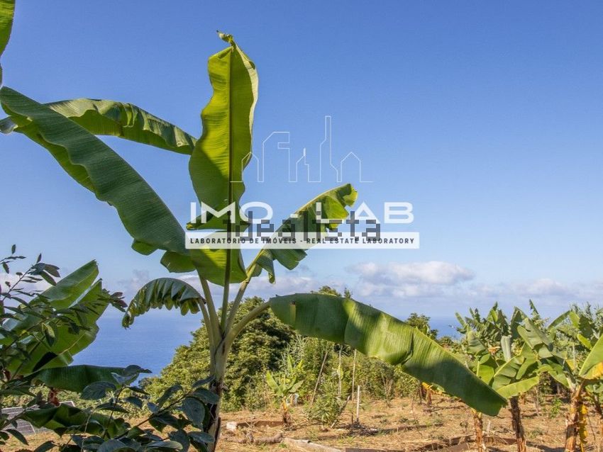 Moradia T1 à venda em São Jorge, Santana — foto 14