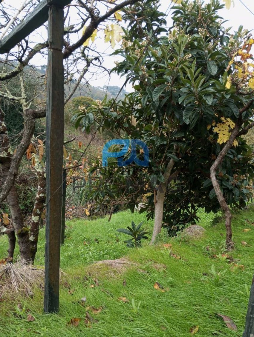 Moradia T2 à venda em São Martinho de Mouros, Resende — foto 40