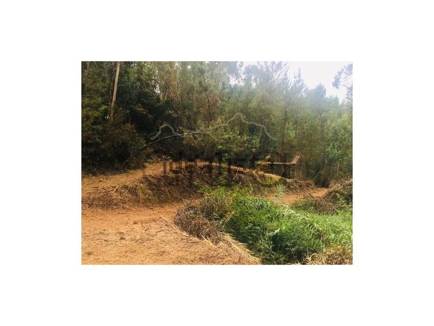 Moradia T1 à venda em Pedrógão Pequeno, Sertã — foto 9