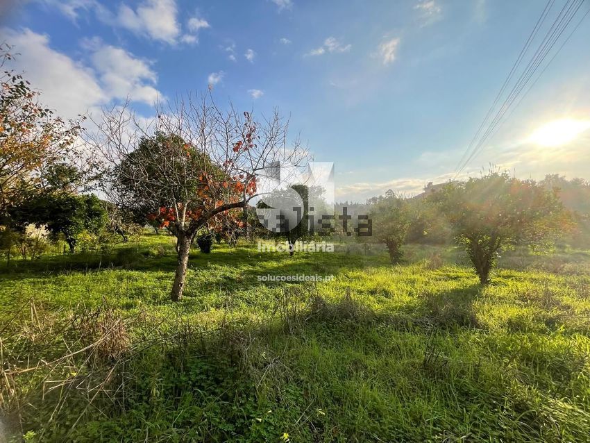 Moradia T4 à venda em Ega, Condeixa-a-Nova — foto 34