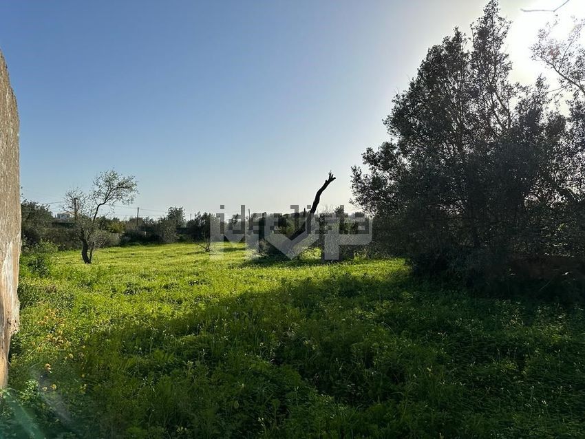 Moradia T2 à venda em Pechão, Olhão — foto 5